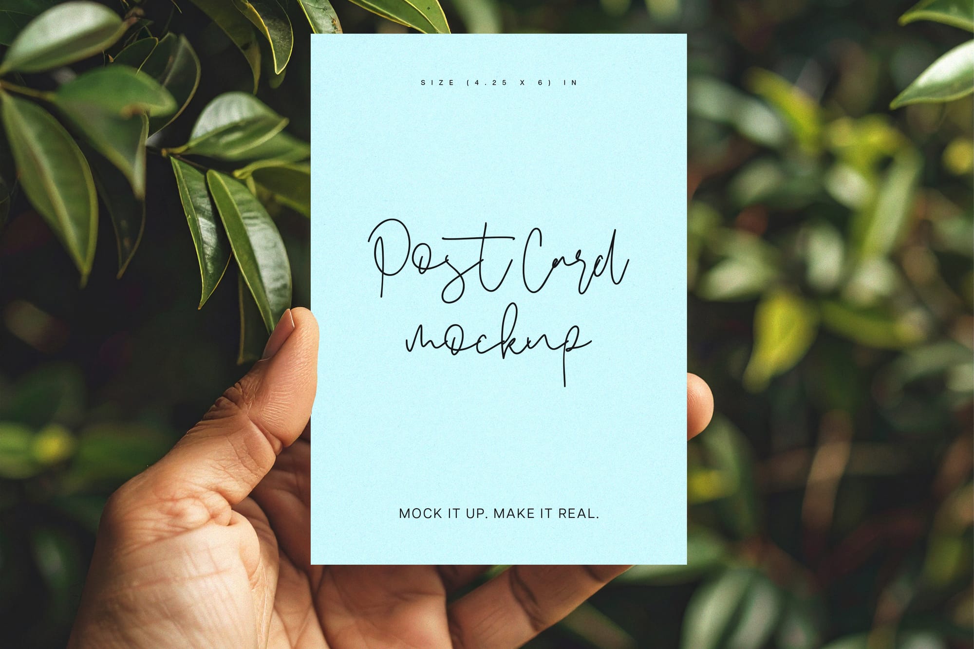 Postcard Mockups