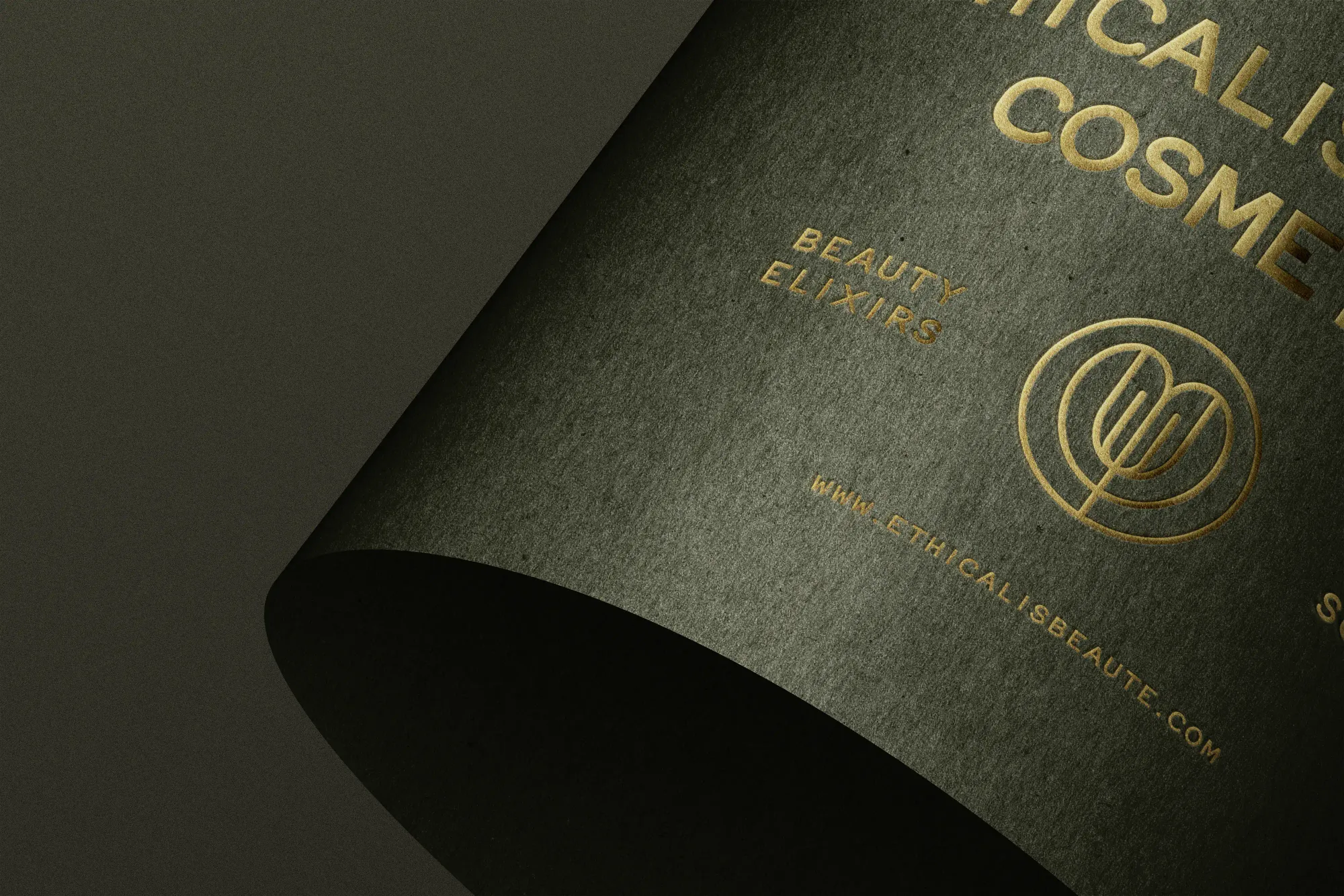 Logo Design On Rolled Paper Mockup