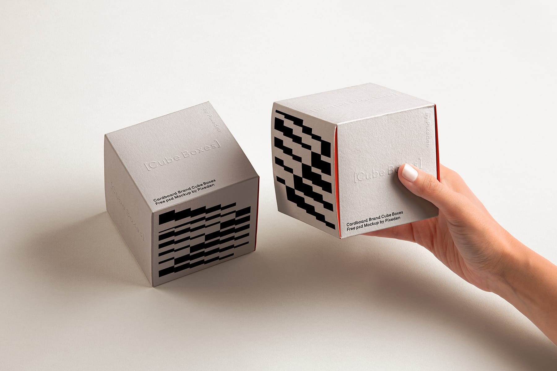 Hand Holding Box Mockup