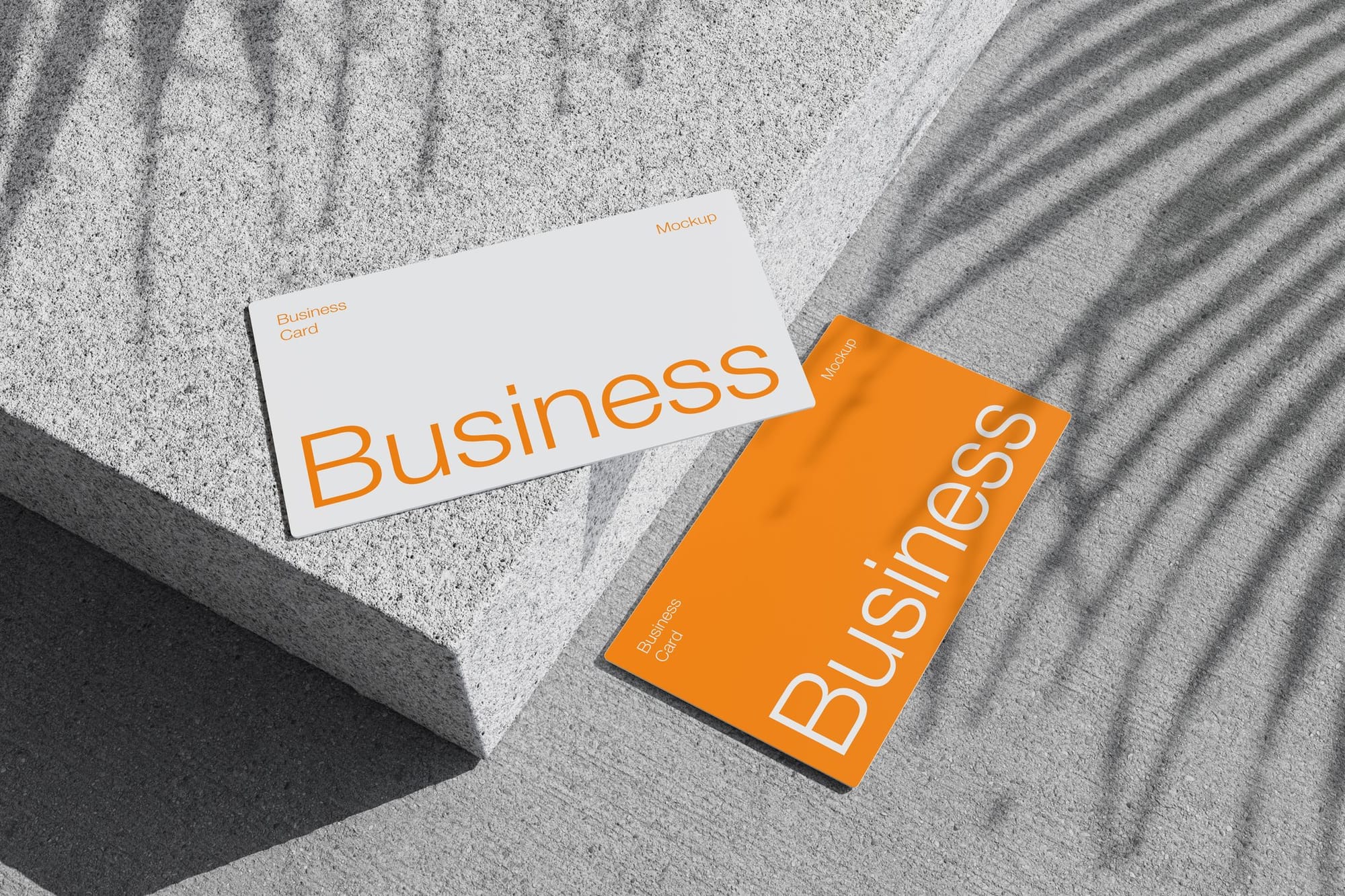 Business Card Mockup with Leaf Shadow Overlay