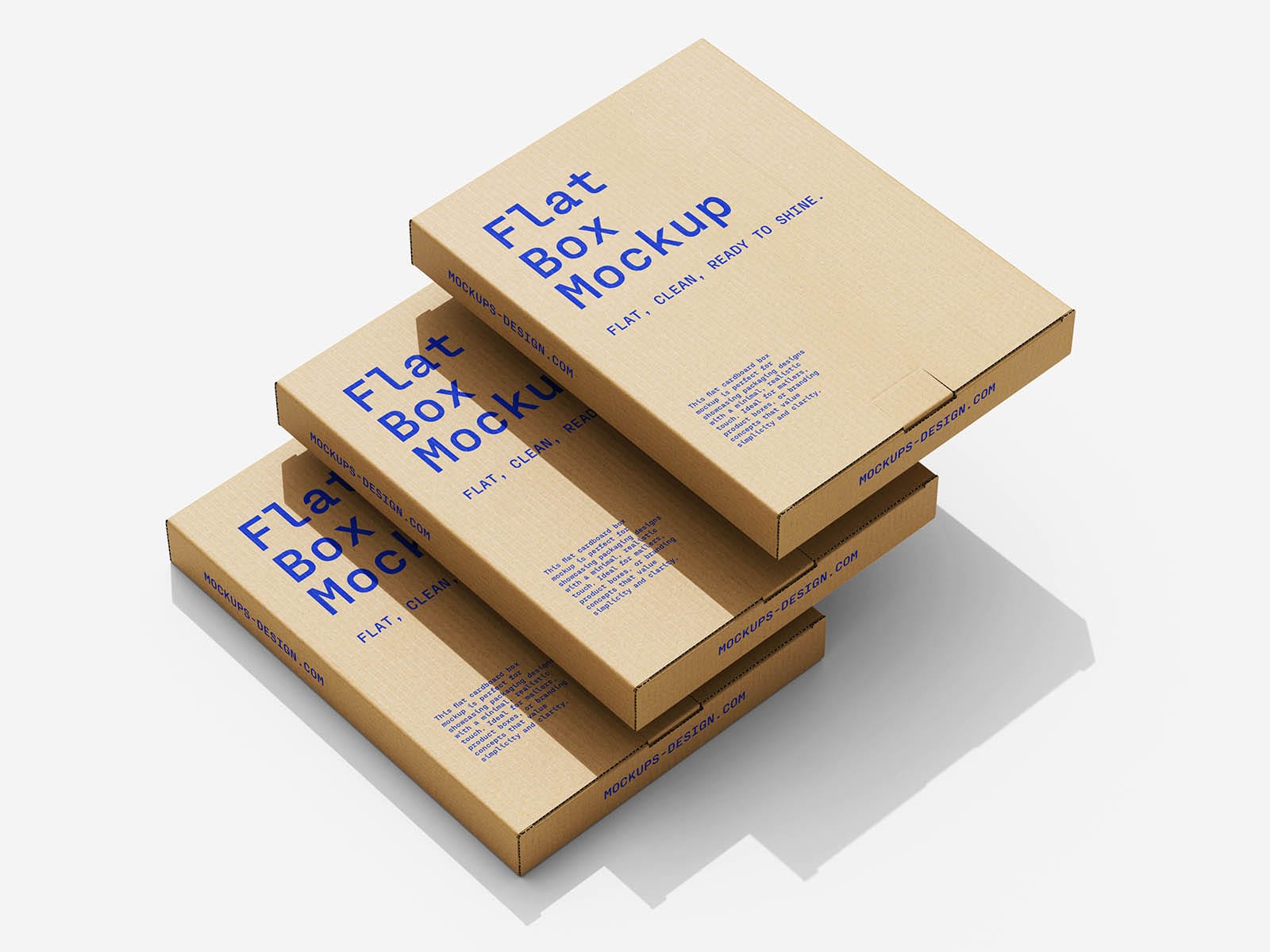 Flat Cardboard Box Mockup