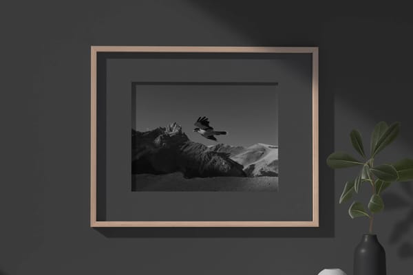 Frame Mockups on Wood Cabinet