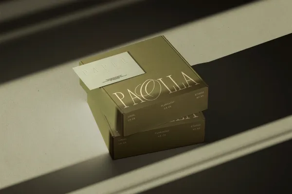 Square Cardboard Mailbox Mockups