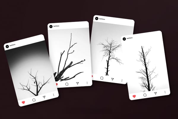 Instagram Feed Mockup